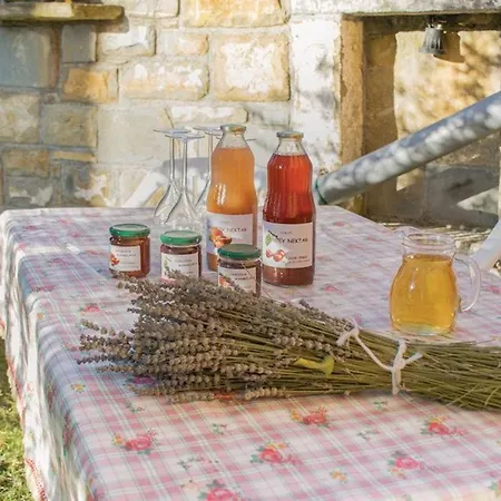 Between The Vineyard