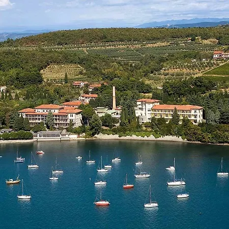 Between The Vineyard