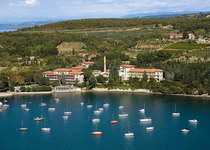 Between The Vineyard